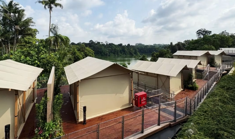 camping safety with wildlife