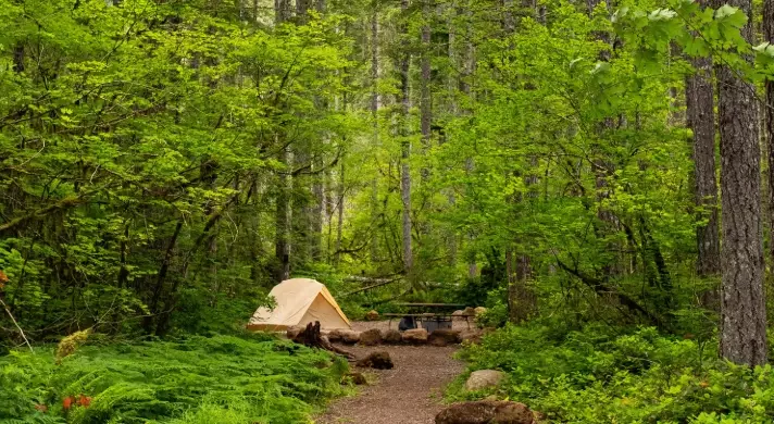 primitive camping California