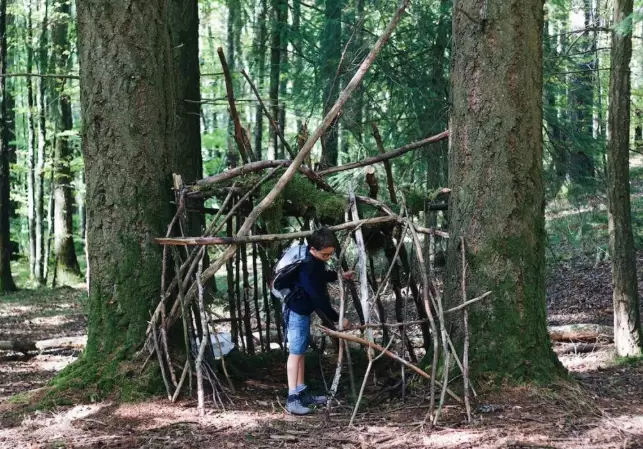 basic survival skills