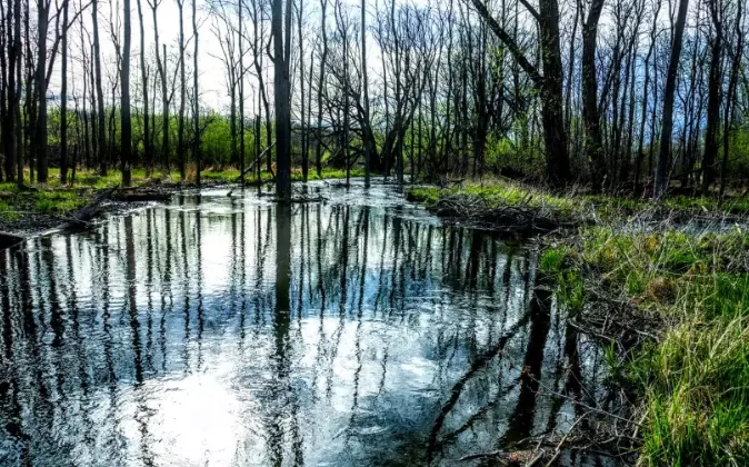 Honeoye lake camping