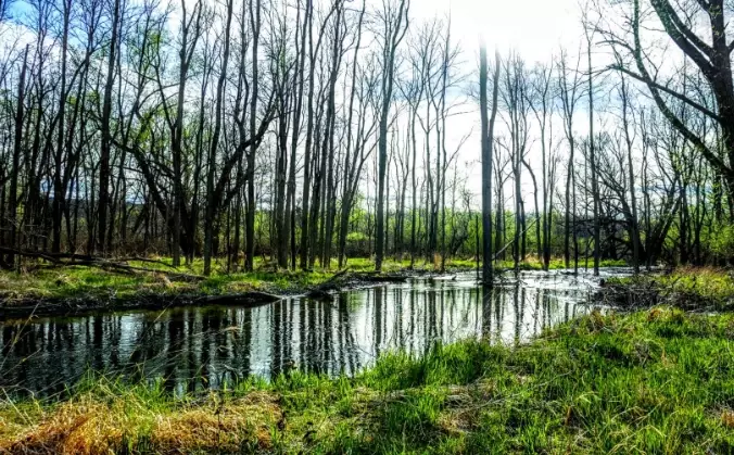 camping at Honeoye Lake