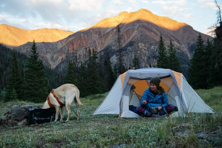 tent camping with dogs