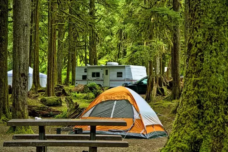 camping trends camping trends