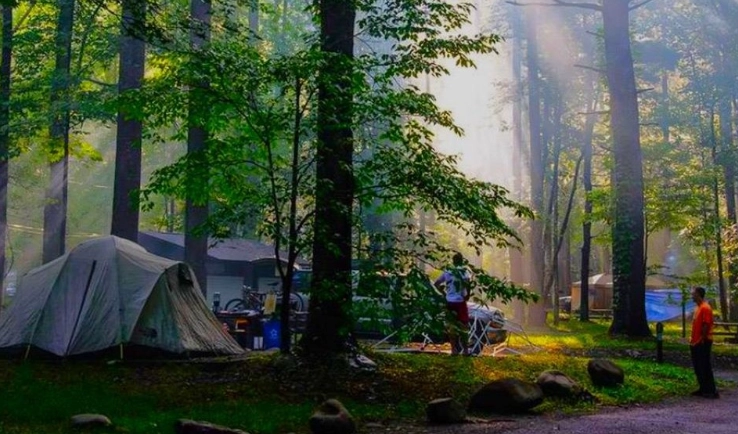 camping popularity camping popularity