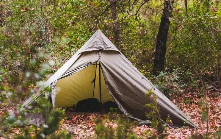 survival camping skills
