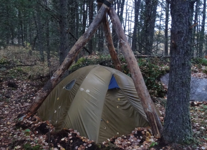 adult survival skills training