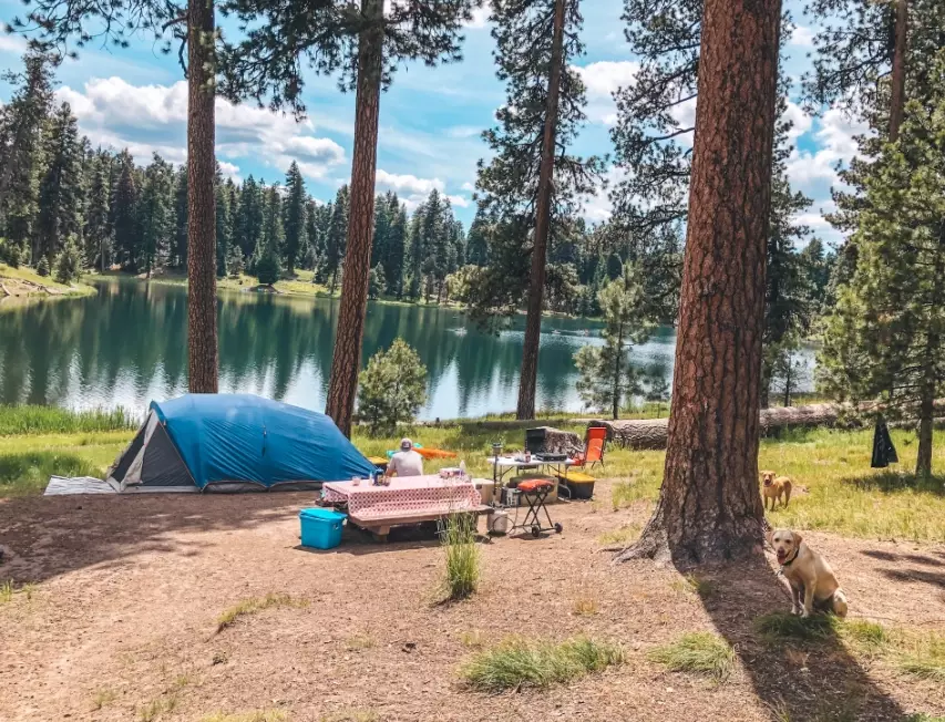 best summer camping tips