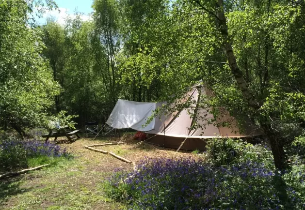 eco friendly camping gear eco friendly camping gear