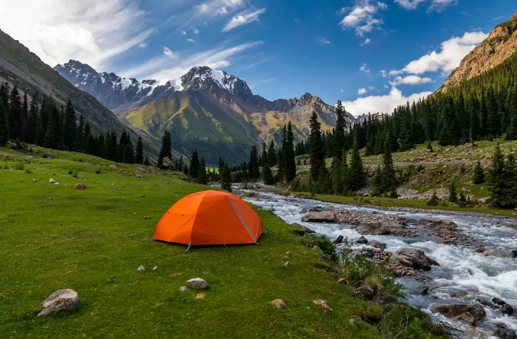 wilderness camping essentials