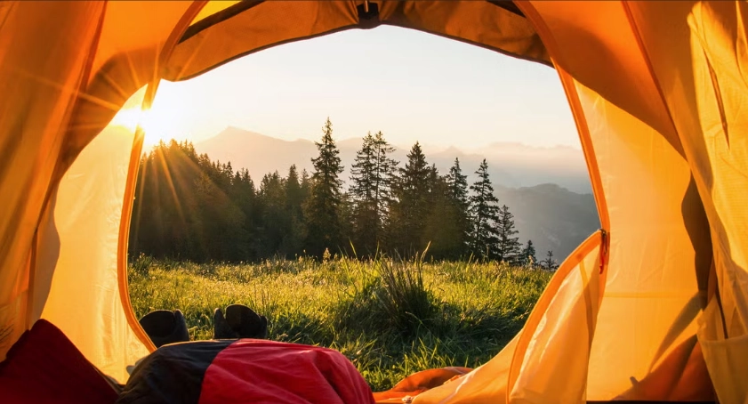 Ultimate Guide to Camping Entertainment for Families and Groups