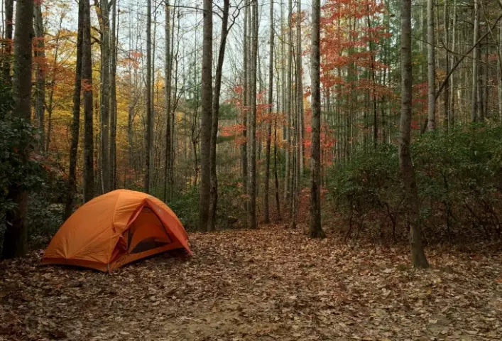 woodland camping essentials