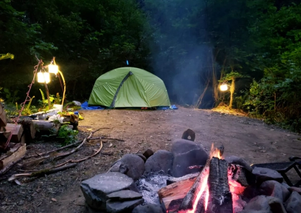 best forest campsites