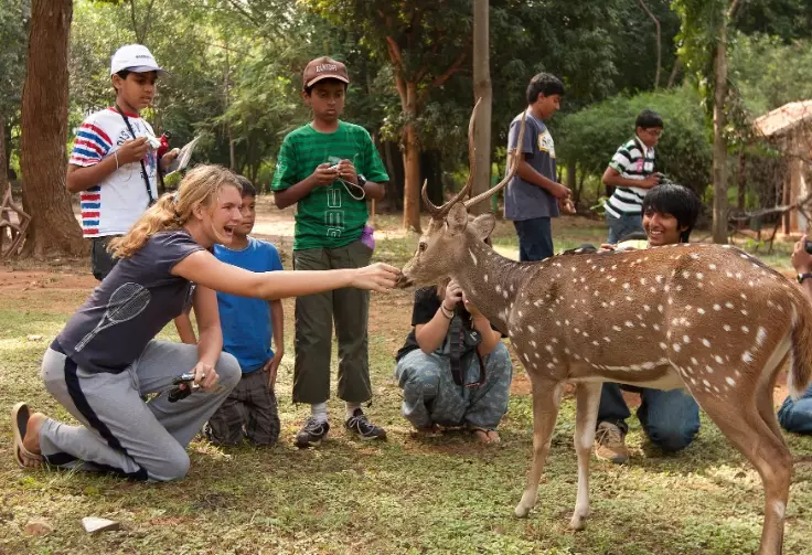 animal sightings camping