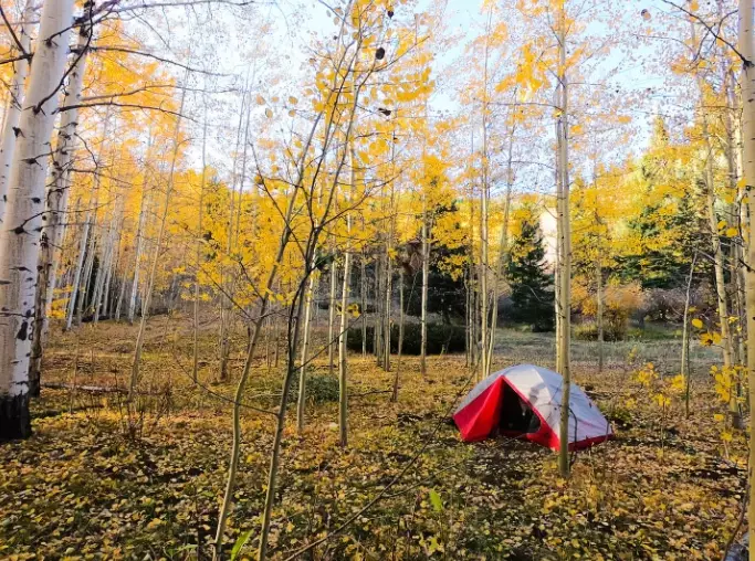 state park camping tips