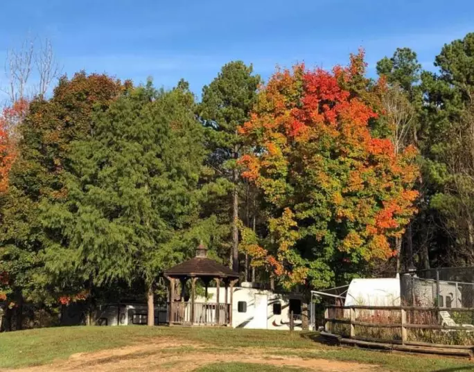 spring camping spots