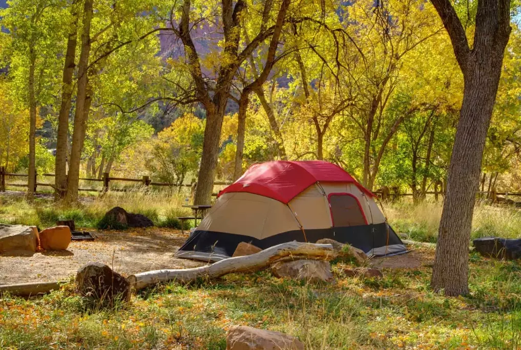 best national parks to camp