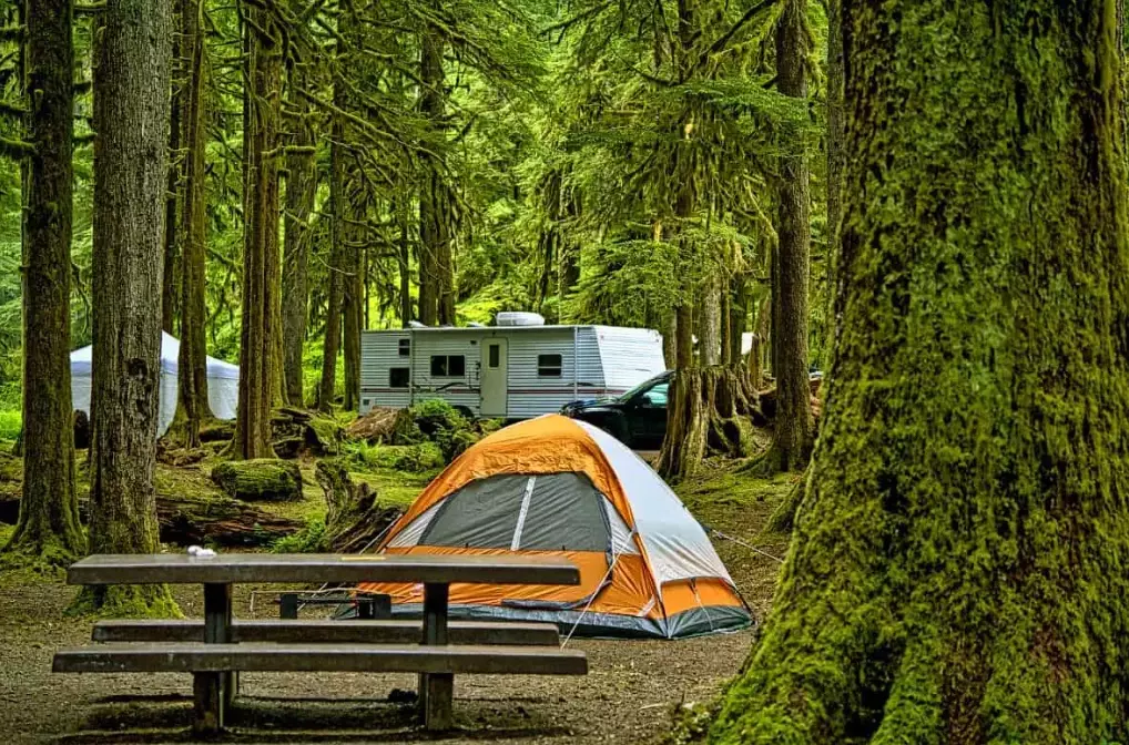 camping in national parks