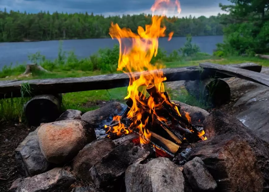 best firewood for camping