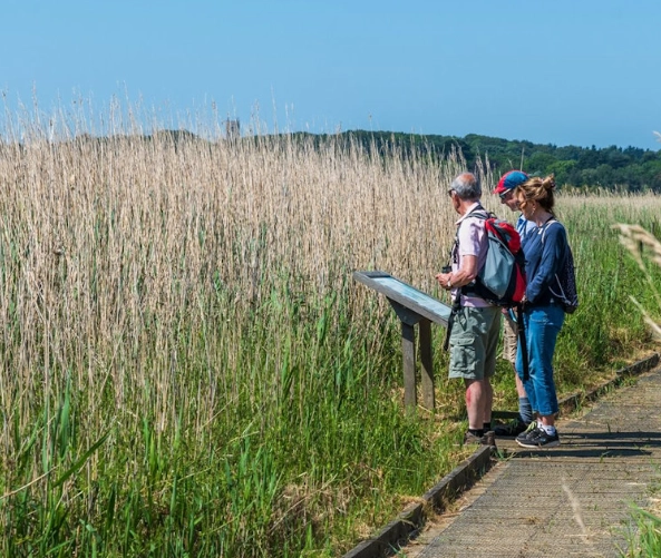 bird watching camping trips bird watching camping trips
