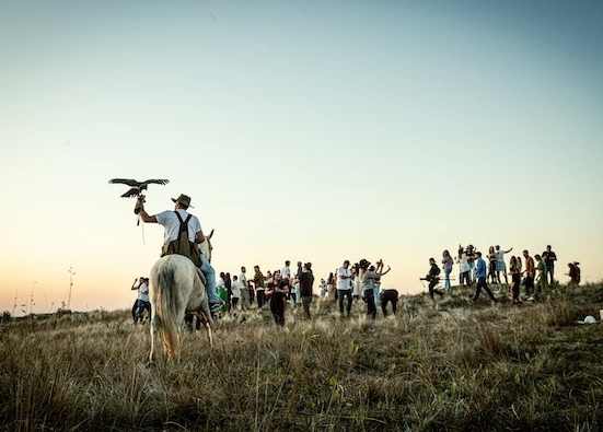 bird watching camping trips bird watching camping trips