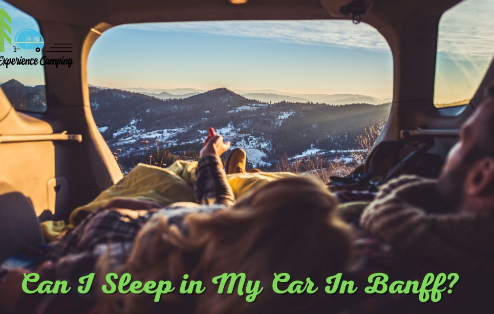 sleep in car camping