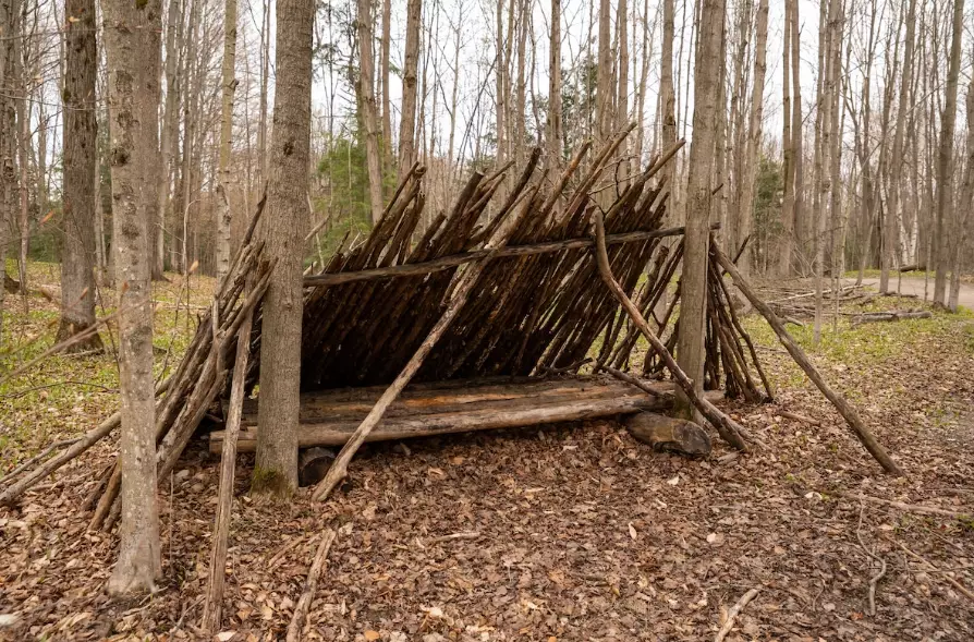 best shelter for camping best shelter for camping