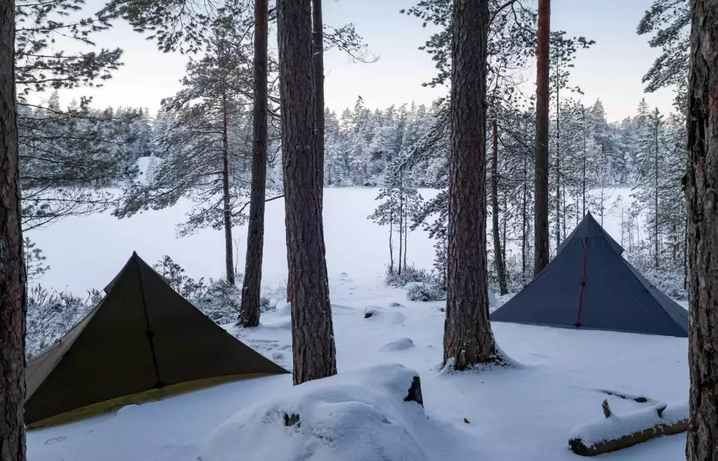 camping certification