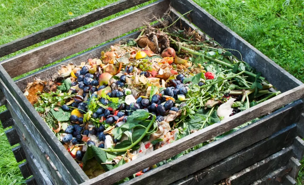 leave no trace composting leave no trace composting