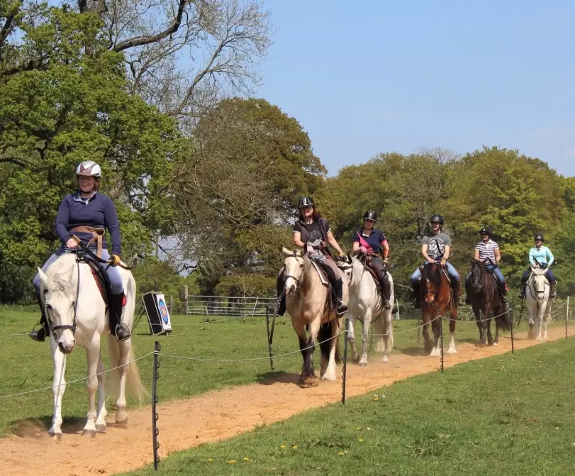 wilderness skills training wilderness skills training